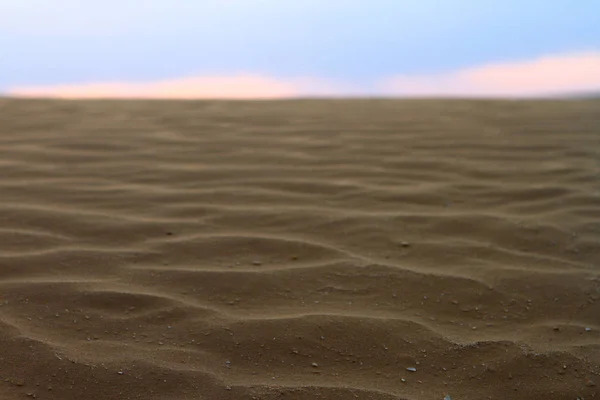 Άμμο αμμόλοφος το βράδυ πάνω σε λόφους άμμος στο γραφικό πάρκο — Φωτογραφία Αρχείου