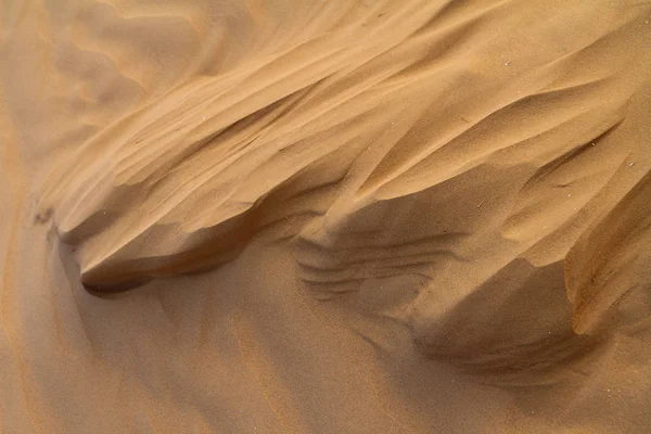 Wind erosion on the sand created these formations