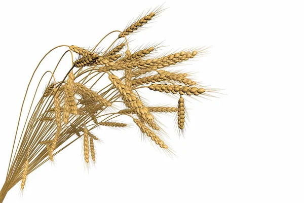 Ilustración industrial 3D del hermoso manojo de trigo spica aislado sobre fondo blanco - agricultura —  Fotos de Stock