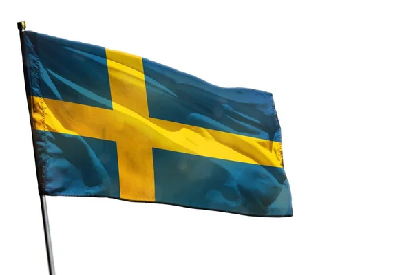 Csapkodó svéd zászló tiszta fehér háttér elszigetelt. — Stock Fotó