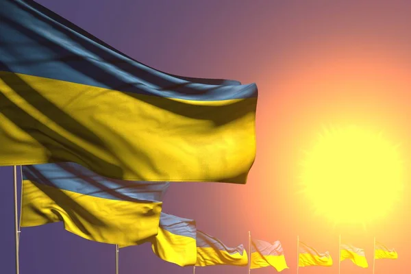 nice many Ukraine flags placed diagonal on sunset with place for your text - any celebration flag 3d illustration