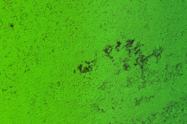 Tasarım amaçları için sıva dokusu gibi oldukça kaliteli yeşil kireç taşı.