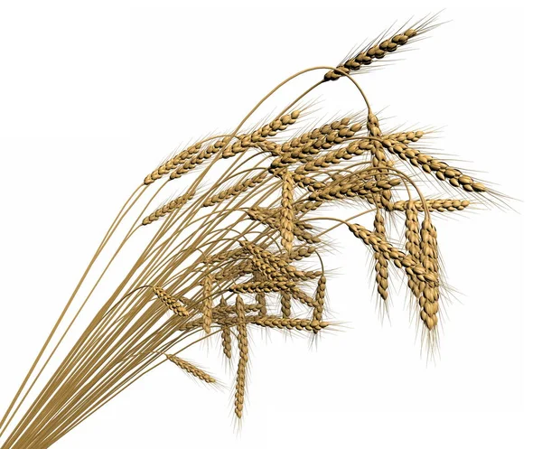 Industrielle 3D-Illustration des modernen Bündels Weizen Spica isoliert auf weißem Hintergrund - Landwirtschaft — Stockfoto