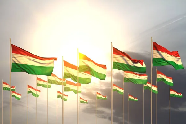 pretty many Hungary flags in a row on sunset with empty space for content - any occasion flag 3d illustration