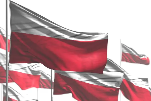 Lindo muchas banderas de Polonia están ondeando aislados en blanco - ilustración con bokeh - cualquier fiesta bandera 3d ilustración —  Fotos de Stock