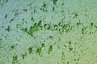 Tasarım amaçları için sıva dokusu gibi eski püskü, yaratıcı bir tasarım..