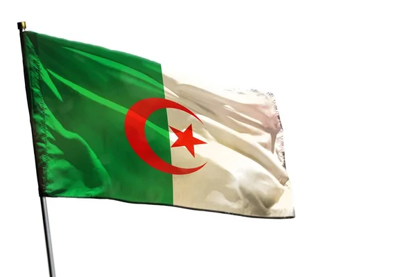 Fluttering Algéria zászló tiszta fehér háttér elszigetelt. — Stock Fotó
