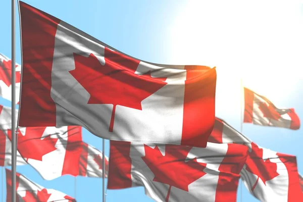 nice many Canada flags are waving against blue sky illustration with soft focus - any holiday flag 3d illustration