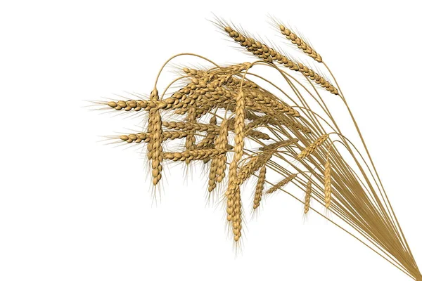 Hermoso haz de espiguillas de trigo aisladas sobre fondo blanco - agricultura, ilustración industrial 3D —  Fotos de Stock