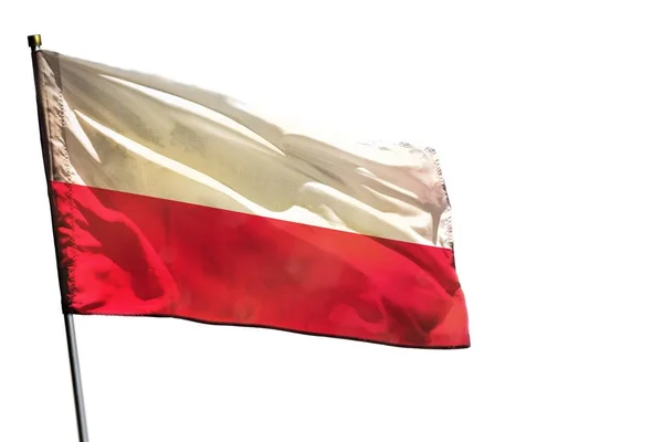 Флаг Польши на прозрачном белом фоне изолирован . — стоковое фото