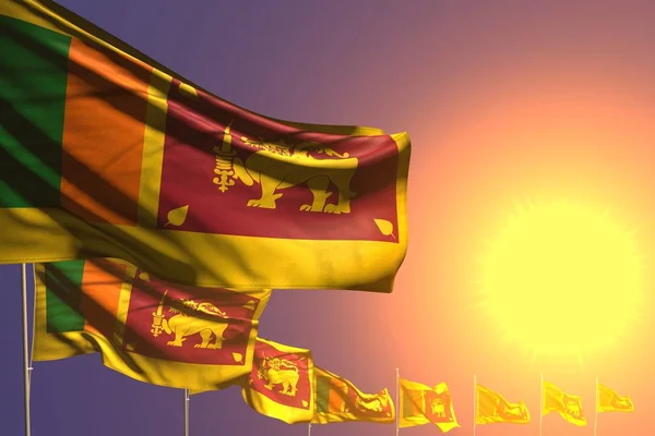 Muchas banderas de Sri Lanka colocadas diagonales en la puesta del sol con lugar para el texto - cualquier ocasión bandera 3d ilustración —  Fotos de Stock