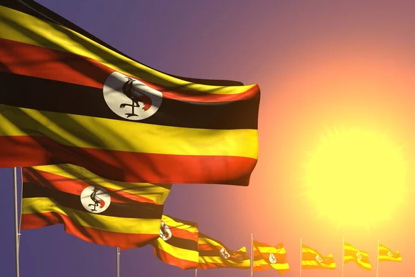 Vrij veel Uganda vlaggen diagonaal geplaatst op zonsondergang met ruimte voor tekst - elke feestvlag 3d illustratie — Stockfoto