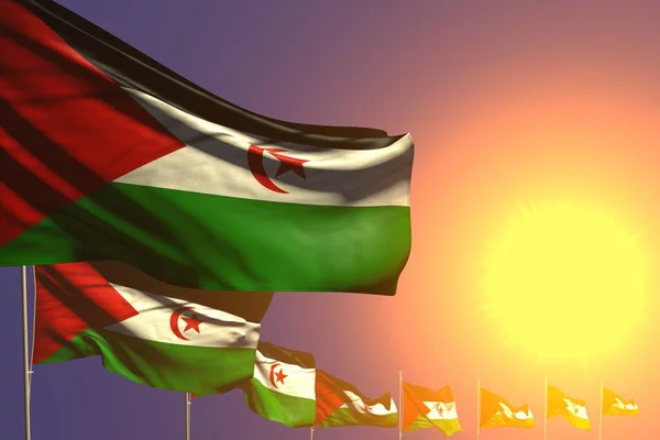 Ωραίο πολλές σημαίες της Δυτικής Σαχάρας τοποθετούνται διαγώνια στο ηλιοβασίλεμα με χώρο για κείμενο - κάθε ευκαιρία σημαία 3d εικονογράφηση — Φωτογραφία Αρχείου