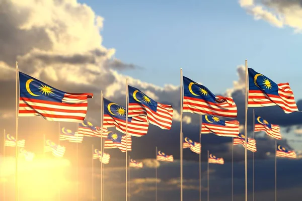 Pretty many Malaysia flags on sunset placed in row with soft focus and place for your content - any celebration flag 3d illustration — 스톡 사진