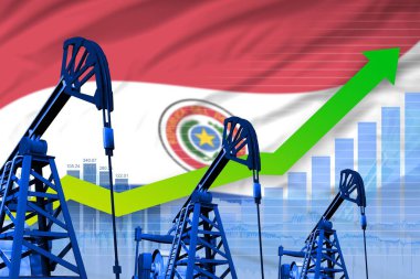 Paraguay bayraklı arka planda büyüyen grafik - Paraguay petrol endüstrisi veya pazar konseptinin endüstriyel çizimi. 3d Görüntü