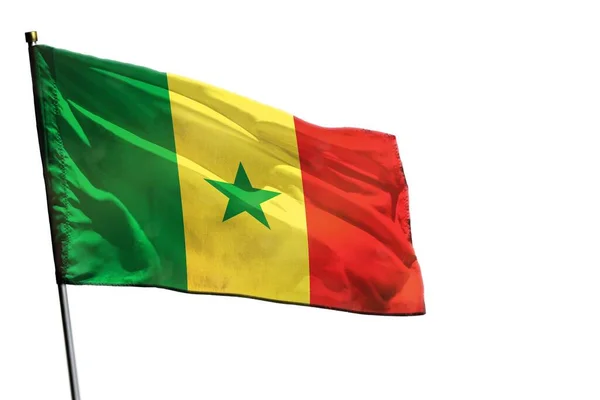 Fladdrande Senegal Flagga Isolerad Vit Bakgrund — Stockfoto