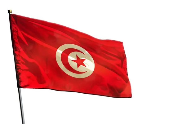 在白色背景下隔绝的飘扬的突尼斯国旗 — 图库照片
