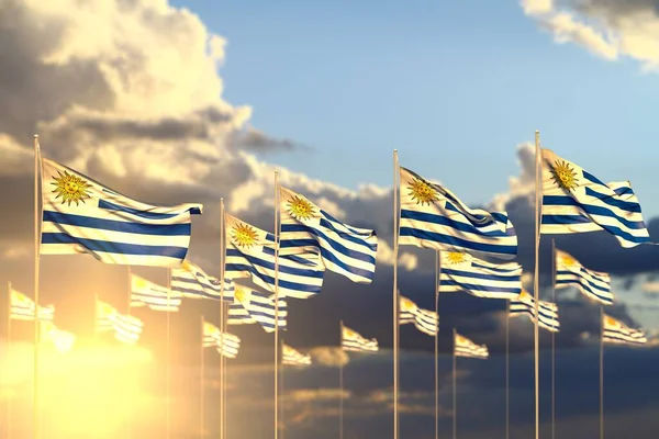 Красиво Много Уругвайских Флагов Закате Расположенных Ряд Мягкой Фокусировкой Пространством — стоковое фото