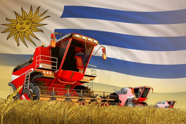 Mezőgazdasági Kombájn Dolgozik Rozs Területen Uruguayi Zászló Háttér Élelmiszer Termelési — Stock Fotó