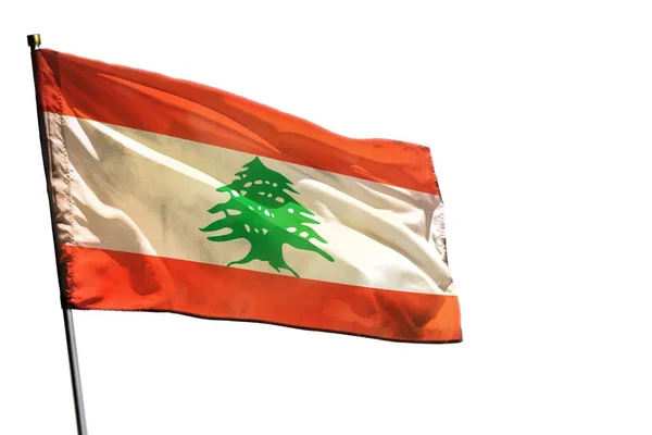 배경에 레바논 의기가 — 스톡 사진