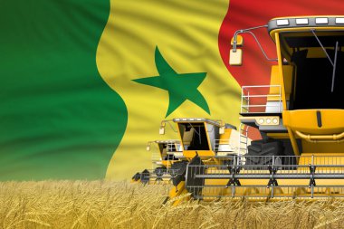 Tahıl tarlasında Senegal bayrağı ile hasat makinelerini birleştiren 3 sarı modern sanayi illüstrasyonu - yakın görüş, tarım kavramı