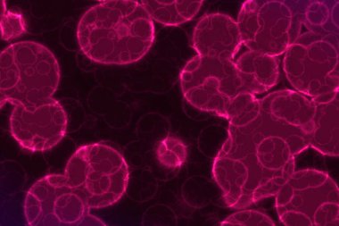 Sanatsal olarak inanılmaz biyo-mikro organizmaların çoğu bilgisayar grafik dokusu veya arkaplan çizimi