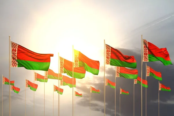 Velmi Mnoho Běloruských Vlajek Řadě Při Západu Slunce Volným Místem — Stock fotografie