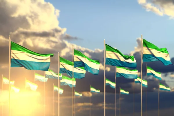 Aranyos Sok Sierra Leone Zászlók Naplemente Sorba Helyezve Puha Fókusz — Stock Fotó