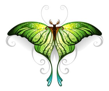 Green realistic exotic butterfly on a white background. Tattoo style. Greenery. Trendy color clipart