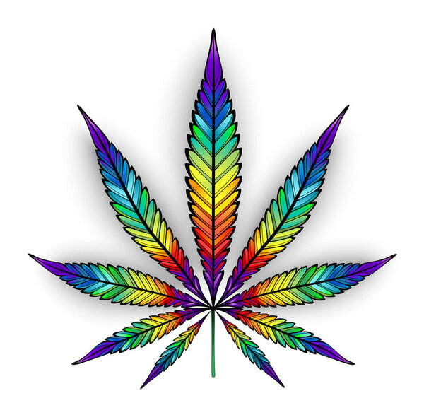 Artistically drawn, rainbow, bright, isolated cannabis leaf on white background.