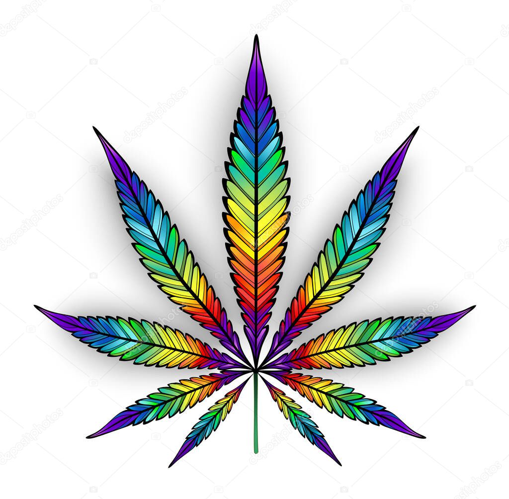 Artistically drawn, rainbow, bright, isolated cannabis leaf on white background.