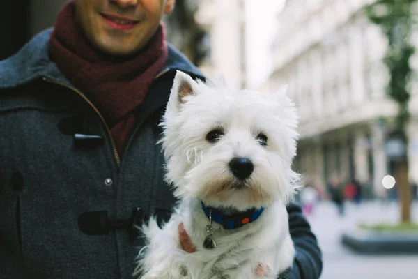 Mensch und Hund — Stockfoto