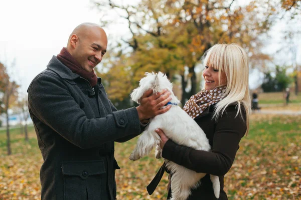 Junges Paar spielt mit Hund — Stockfoto