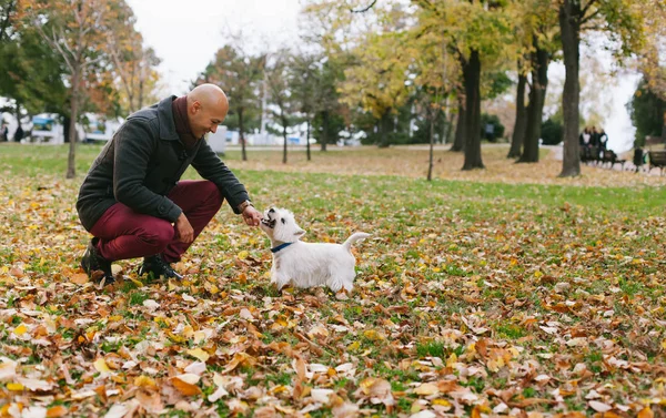 Mensch und Hund — Stockfoto