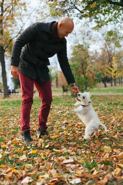 Mensch und Hund — Stockfoto