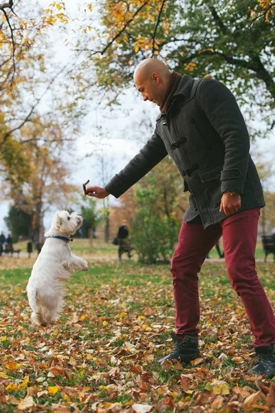 Mensch und Hund — Stockfoto