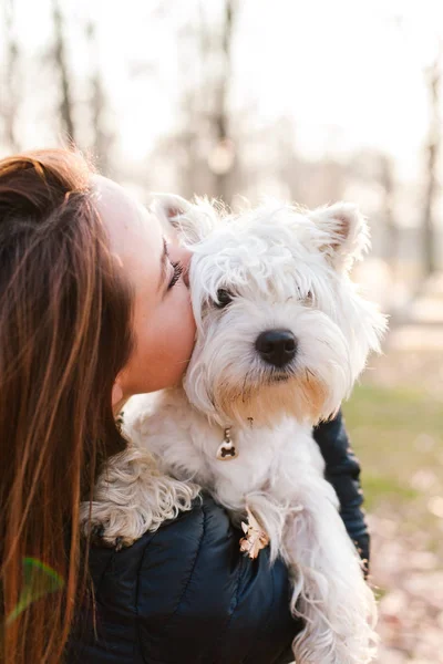 Hund und Mädchen — Stockfoto