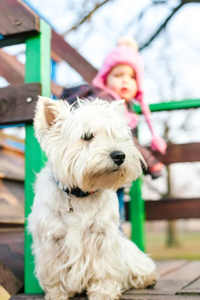 Köpek ve küçük kız