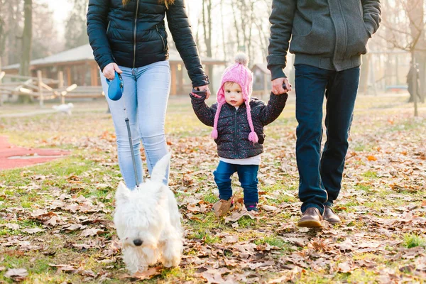 Aile köpek açık yürüyüş ile