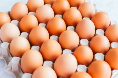 Yumurta kartonu kopya alanı ile