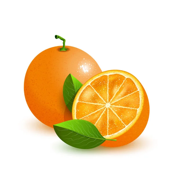 Naranja fresco con hojas verdes aisladas en blanco — Vector de stock