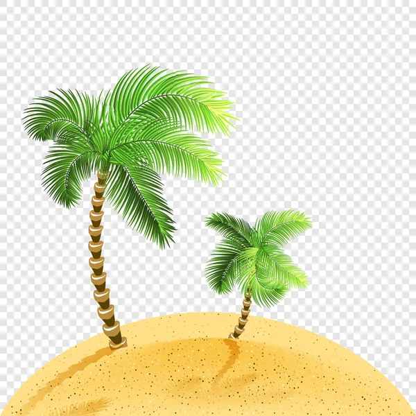 Deux palmiers sur la côte sablonneuse. Fond transparent — Image vectorielle