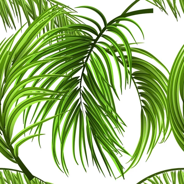 Feuilles de palmier tropicales, feuilles de jungle sans couture vecteur floral fond de motif sans couture — Image vectorielle