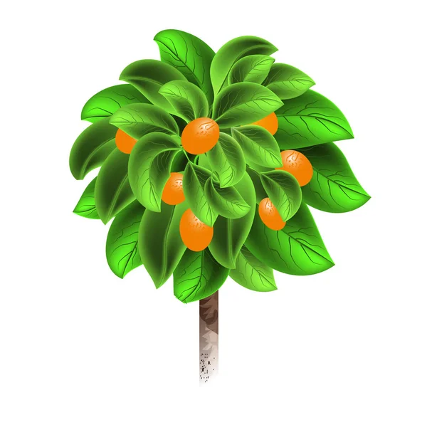 Oranje boom met rijpe vruchten geïsoleerd op een witte achtergrond. Element van home decor. Het symbool van groei en ecologie. — Stockvector