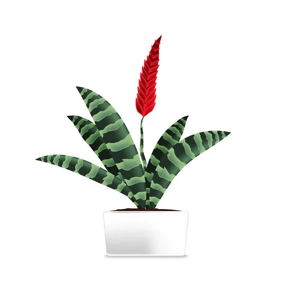 Planta manchada em uma panela branca. Elemento de decoração de casa. O símbolo do crescimento e da ecologia . — Vetor de Stock