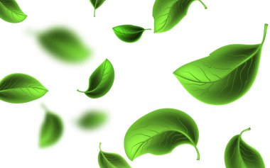 Yeşil yaprakları uçan bulanık