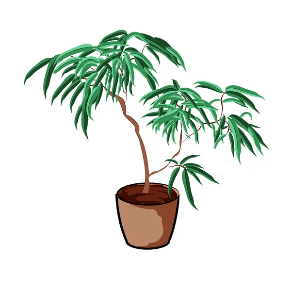 Planten in een klei pot. Element van home decor. Het symbool van groei en ecologie. — Stockvector