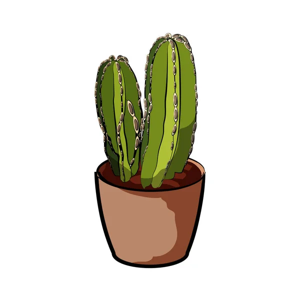 Cactus en una olla de barro. Elemento de la decoración del hogar. El símbolo del crecimiento y la ecología . — Archivo Imágenes Vectoriales