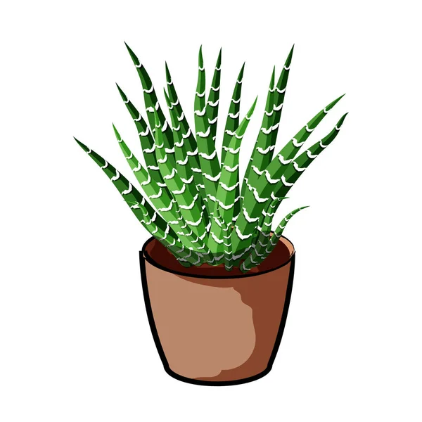 Planten in een klei pot. Element van home decor. Het symbool van groei en ecologie. — Stockvector