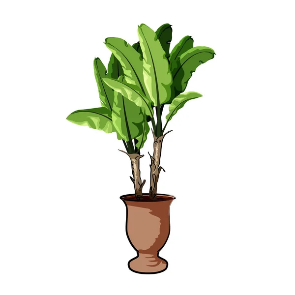 Palm in een pot van klei. Element van home decor. Het symbool van groei en ecologie. — Stockvector